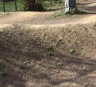 Unterer Schlossgarten Stuttgart