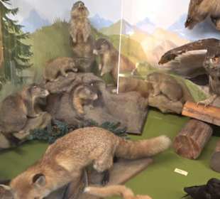 Heimatmuseum Oberstdorf