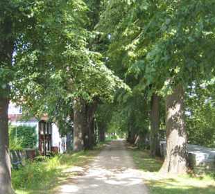 Und weiter den Weg oben auf der Wallmauer entlang