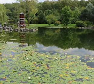 Chinesischer Garten