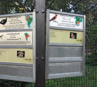 Zoologischer Garten