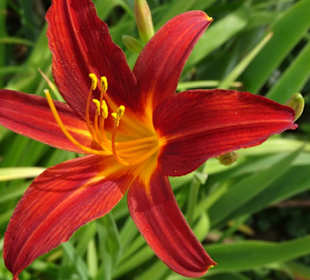 Eindrücke vom Rundgang durch den Park der Gärten