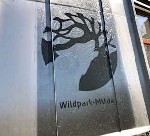 Wildpark-MV 