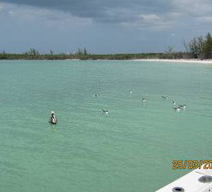 Rückseite Cayo Blanco - super warmes Wasser