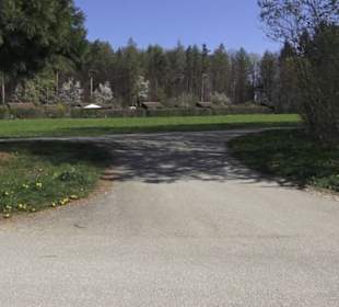 Wanderparkplatz Tannenwald