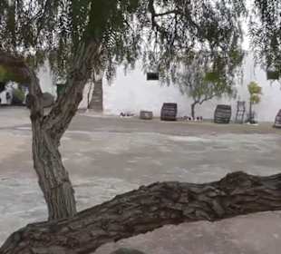 Museo Agrícola El Patio