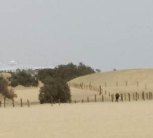 Dünen von Maspalomas