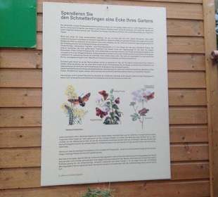 Alles für die Schmetterlinge