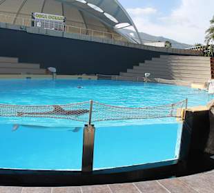 Kleines Delphinarium  