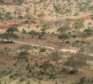 Ausblick von Lions Hill 