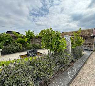 Festung Ehrenbreitstein