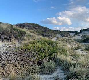 Wandern Cala Mesquida