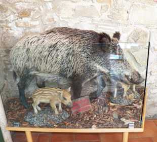 Naturpark Sparbach Hinterbrühl