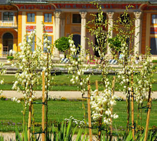 Die Blütenpracht im Schlosspark