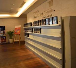 Skypark Marina Bay Sands