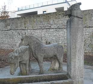 Ein Vogel beobachtet zwei Ponys bei der Tränke