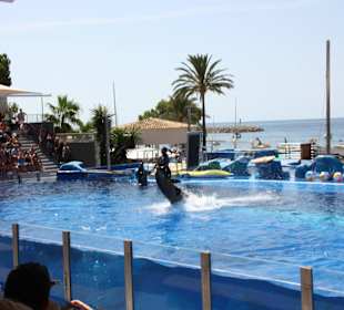 Marineland Mallorca