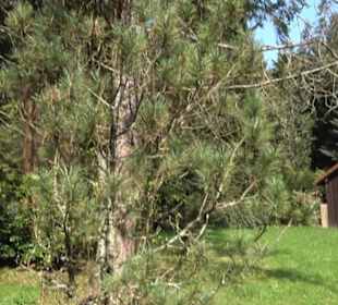 Wanderung Florianrunde