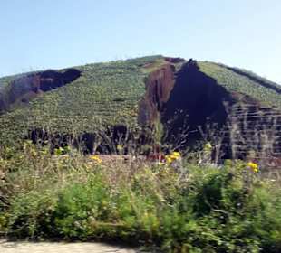 Vulkan Montaña del Palmar in Buenavista del Norte