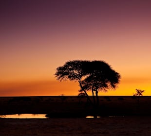 Sunset in Park