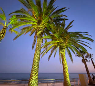 Strand Senhora da Rocha