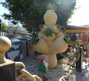 Stadtrundgang San Agustín