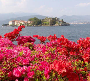 Blick von Stresa auf die Isola Bella