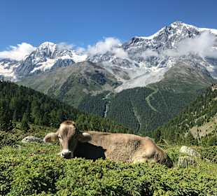 Wandern Sulden
