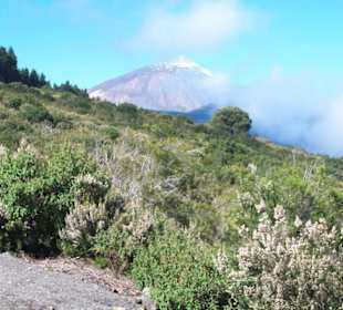 El Teide