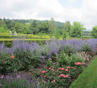 Lichtentaler Allee, Gönneranlage