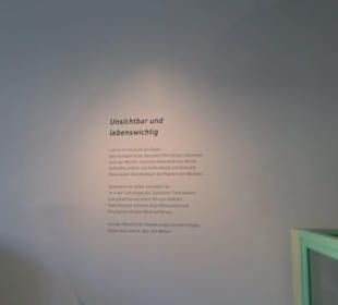 Museum Natur und Mensch