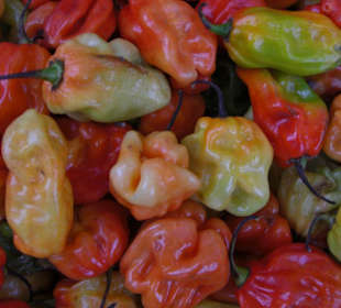 Frisches Obst und Gemüse