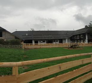 Auslaufwiesen und Eulenhaus