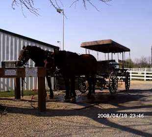Pferdewagen der Armisch Farmer