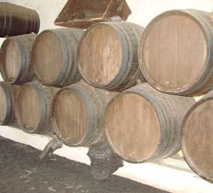 Weinbaugebiet "La Geria" 