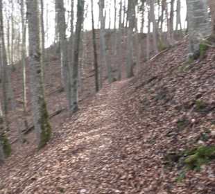 Premiumwanderweg Hohenwittlingensteig