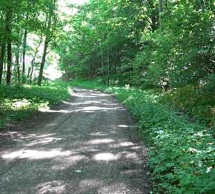 Premiumwanderweg "hochgelegen"