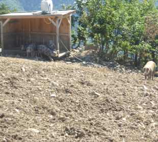 Restaurant Rielinger HofRestaurant Rielinger Hof