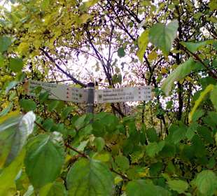 Landhotel Niederthäler Hof Schloßböckelheim 