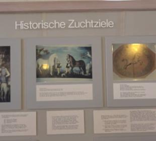 Gestütshof Offenhausen