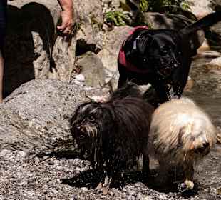 Wandern Ried im Zillertal