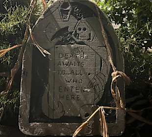 Mondo Verde Halloween