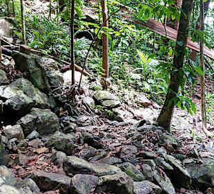 Parque Natural Obô do Príncipe