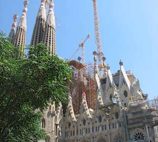 Katedra Sagrada Familia