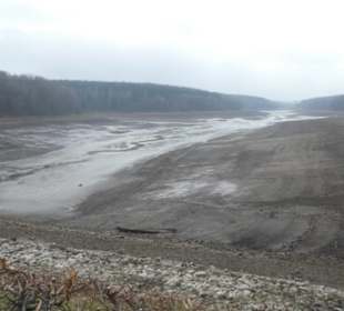 Nov. 2021: Am abgelassenen Ellertshäuser See