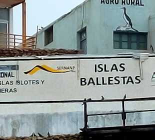 Ausflug Ballestas Inseln