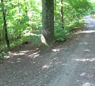 Sophienbrunnen von 1839 