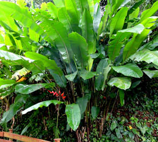 Impressionen aus den Jardins de Valombreuse