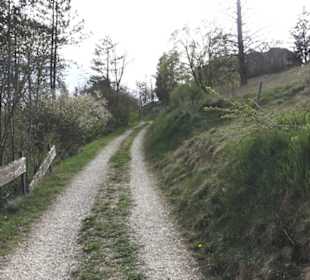 Ruine Niedergundelfingen