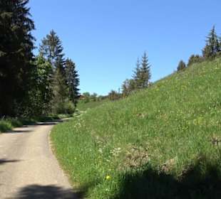 Magolsheimer Buchtalweg